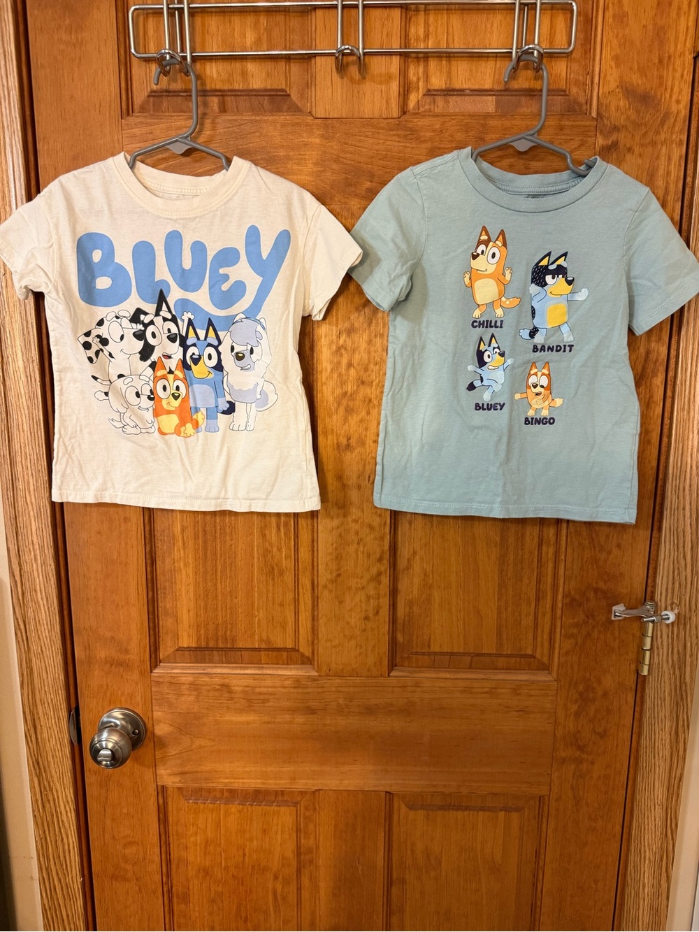 Bluey short sleeved tees
